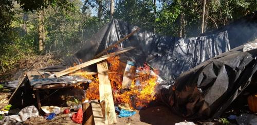 Destruyeron 14 toneladas de marihuana en Concepción